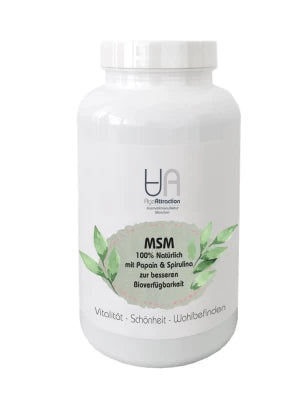 MSM Kapseln - Inhalt 365 Stück (Tabletten)